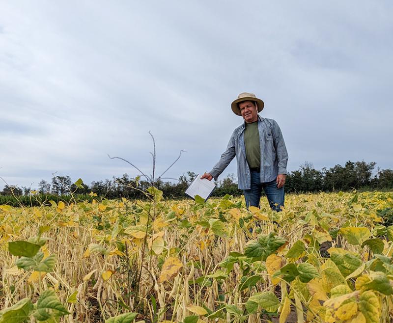 UNL researcher grows beans and connections in Chile